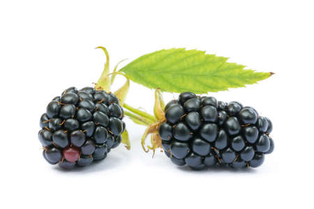 Ripe sweet blackberries isolated on white backgroundの写真素材