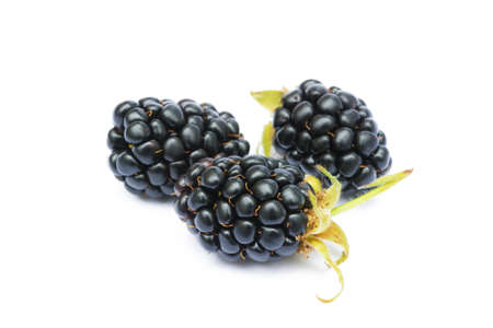 Ripe sweet blackberries isolated on white backgroundの写真素材