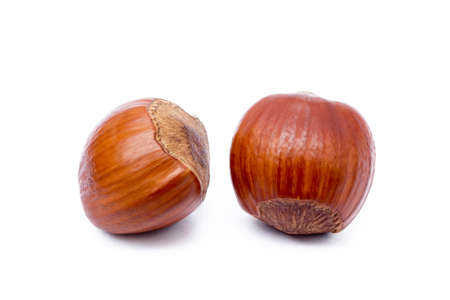 Group healty hazelnuts isolated on white backgroundの写真素材