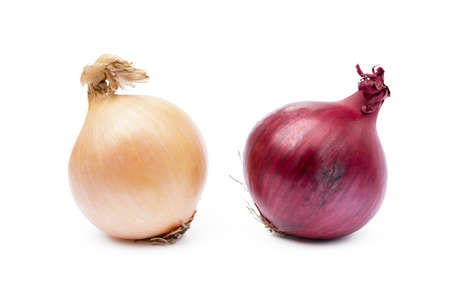 Fresh onion isolated on a white backgroundの写真素材