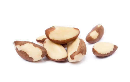 Para nuts isolated on white backgroundの写真素材