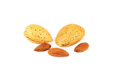 Isolated on white background.の写真素材