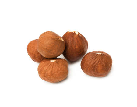 Fresh hazelnut isolated on white backgroundの写真素材