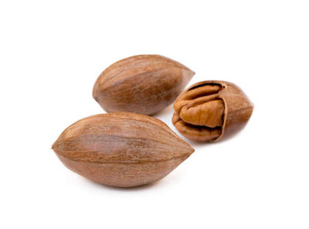 Fresh pecan nuts isolated on white backgroundの写真素材