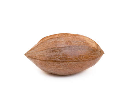 Fresh pecan nuts isolated on white background