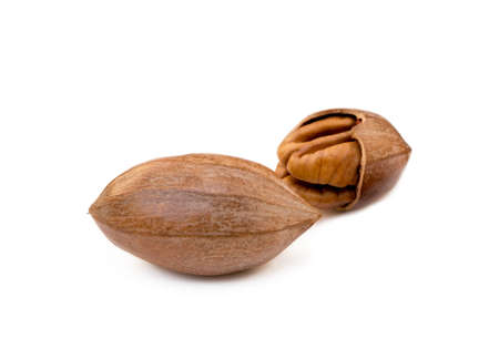 Fresh pecan nuts isolated on white backgroundの写真素材