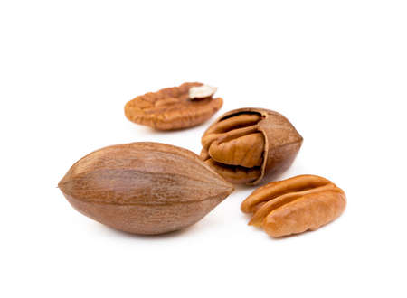 Fresh pecan nuts isolated on white backgroundの写真素材