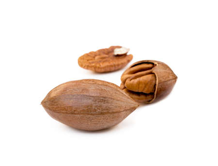Fresh pecan nuts isolated on white backgroundの写真素材