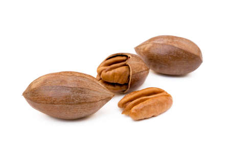 Fresh pecan nuts isolated on white backgroundの写真素材