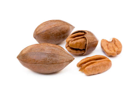 Fresh pecan nuts isolated on white backgroundの写真素材