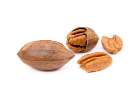 Fresh pecan nuts isolated on white backgroundの写真素材