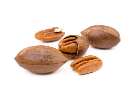 Fresh pecan nuts isolated on white backgroundの写真素材