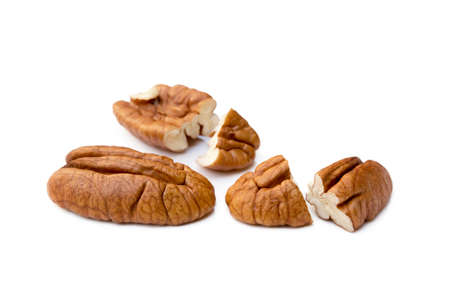 Fresh pecan nuts isolated on white backgroundの写真素材