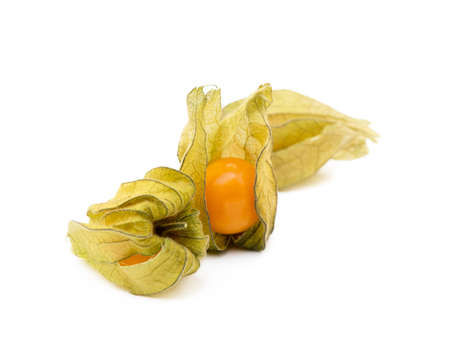Healthy Cape Gooseberry (Physalis) isolated on white backgroundの写真素材