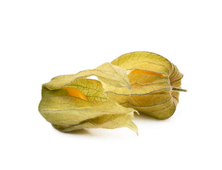 Healthy Cape Gooseberry (Physalis) isolated on white backgroundの写真素材