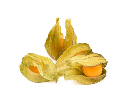 Healthy Cape Gooseberry (Physalis) isolated on white backgroundの写真素材
