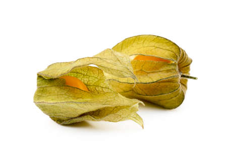 Healthy Cape Gooseberry (Physalis) isolated on white backgroundの写真素材