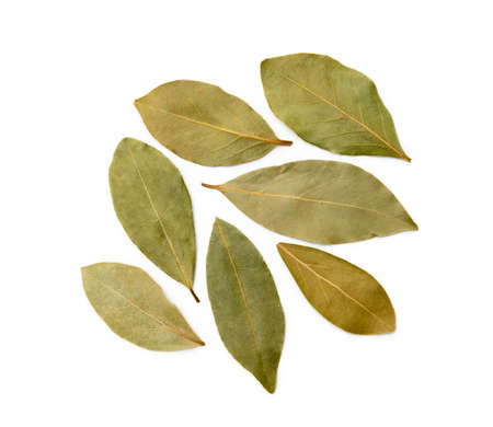 Dried bay leaf isolated on white backgroundの写真素材