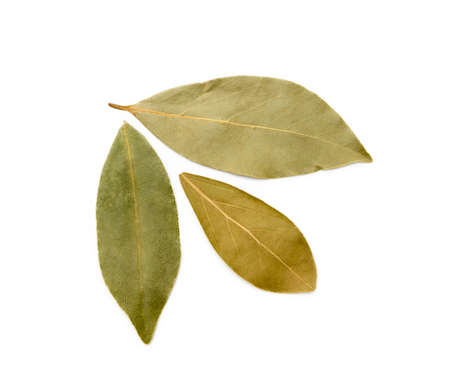 Dried bay leaf isolated on white backgroundの写真素材