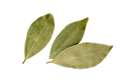 Dried bay leaf isolated on white backgroundの写真素材