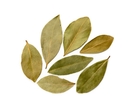Dried bay leaf isolated on white backgroundの写真素材