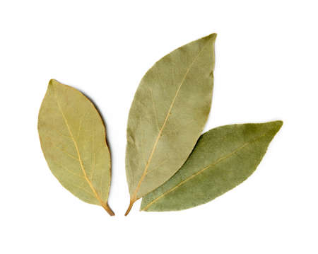 Dried bay leaf isolated on white backgroundの写真素材