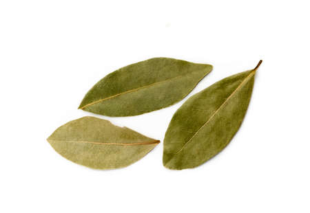 Dried bay leaf isolated on white backgroundの写真素材