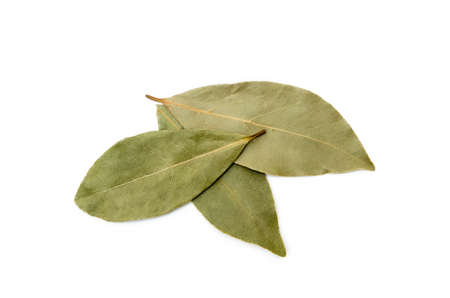 Dried bay leaf isolated on white backgroundの写真素材