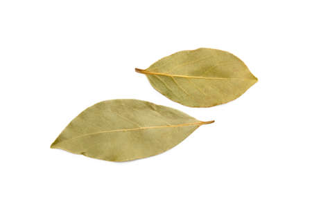 Dried bay leaf isolated on white backgroundの写真素材