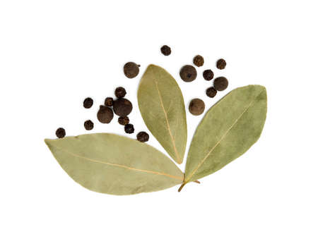 Bay leaf, allspice and pepper isolated on white backgroundの写真素材