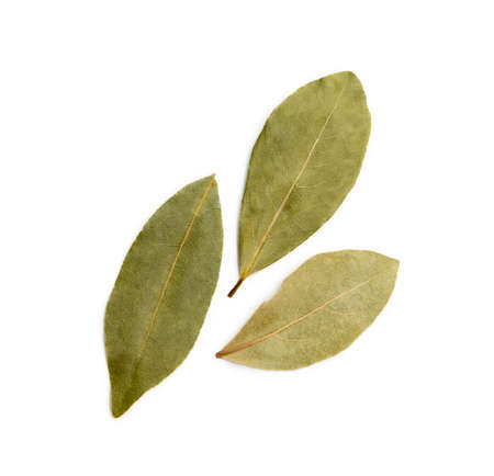 Dried bay leaf isolated on white backgroundの写真素材