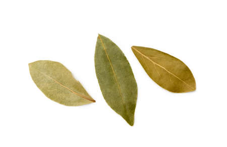 Dried bay leaf isolated on white backgroundの写真素材