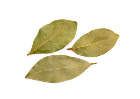 Dried bay leaf isolated on white backgroundの写真素材