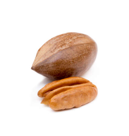Fresh pecan nuts isolated on white backgroundの写真素材