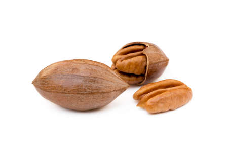 Fresh pecan nuts isolated on white backgroundの写真素材