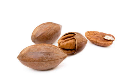 Fresh pecan nuts isolated on white backgroundの写真素材