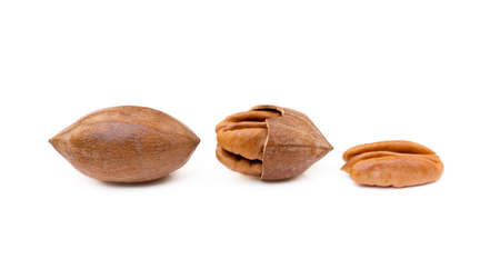 Fresh pecan nuts isolated on white backgroundの写真素材