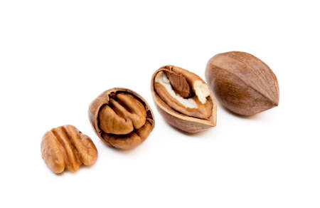 Fresh pecan nuts isolated on white backgroundの写真素材