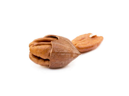 Fresh pecan nuts isolated on white backgroundの写真素材