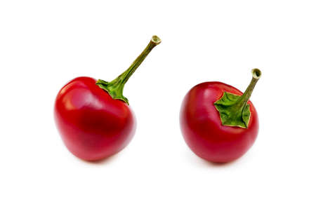 Red hot peppers isolated on white backgroundの写真素材