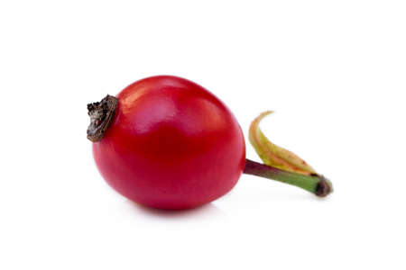 Ripe rose hip isolated on white backgroundの写真素材