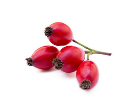 Ripe rose hip isolated on white backgroundの写真素材