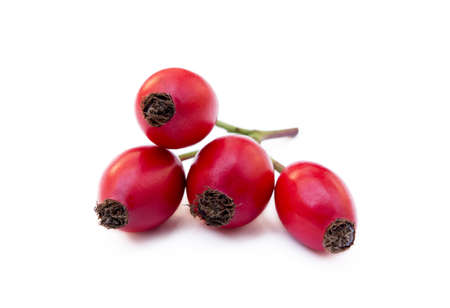 Ripe rose hip isolated on white backgroundの写真素材
