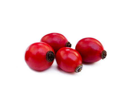 Ripe rose hip isolated on white backgroundの写真素材