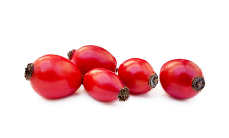 Ripe rose hip isolated on white backgroundの写真素材