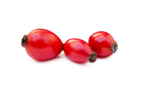 Ripe rose hip isolated on white backgroundの写真素材