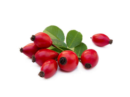 Ripe rose hip isolated on white backgroundの写真素材