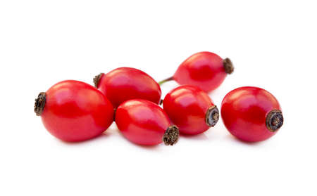 Ripe rose hip isolated on white backgroundの写真素材