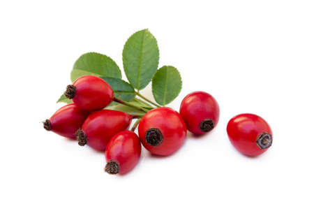 Ripe rose hip isolated on white backgroundの写真素材