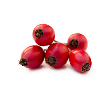 Ripe rose hip isolated on white backgroundの写真素材